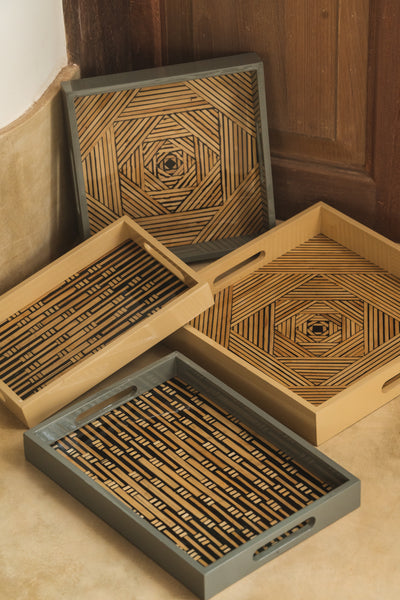 Step well tray