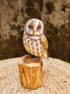 Brown Owl