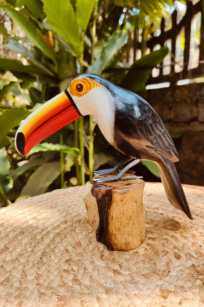 Toucan Bird