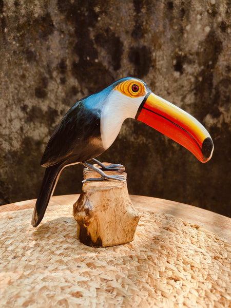 Toucan Bird