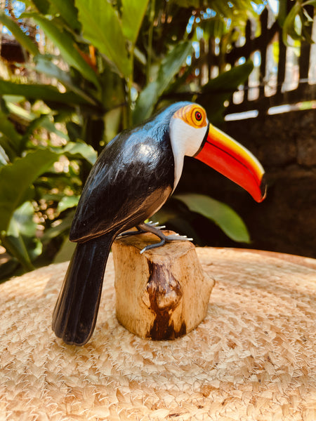 Toucan Bird