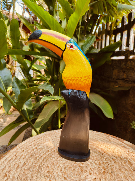 Perched Toucan