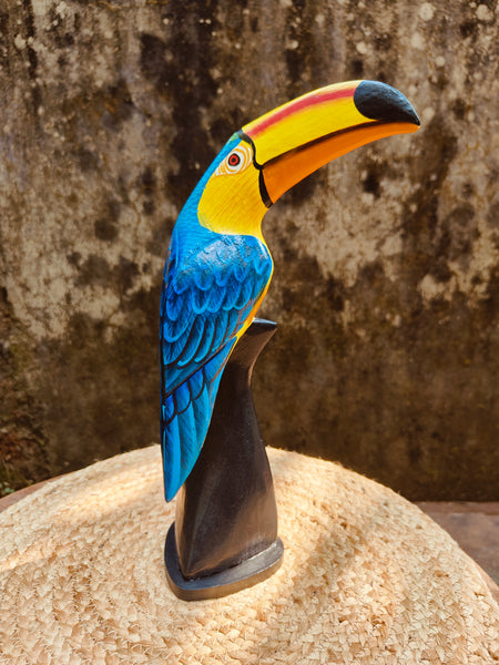 Perched Toucan