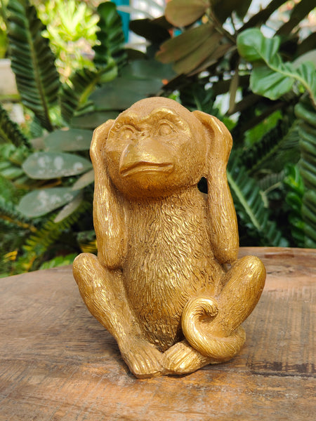 Golden Monkey