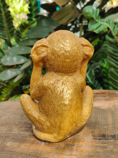 Golden Monkey