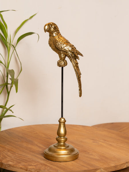 Golden Parrot