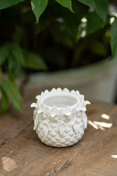 Ananas Planter - White