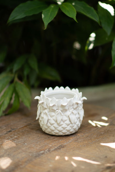 Ananas Planter - White