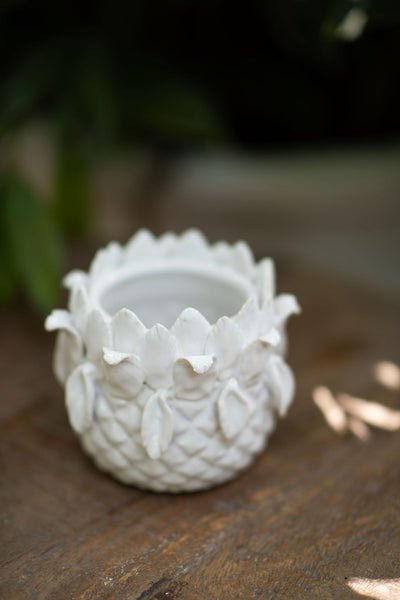 Ananas Planter - White