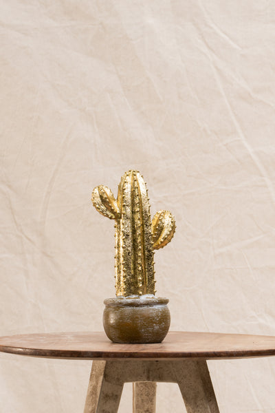 Gold Cactus In Pot