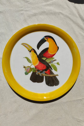 Jungle Plate - Toucan