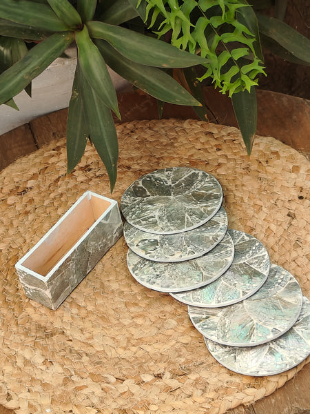 Abalone Coasters - Set of 6