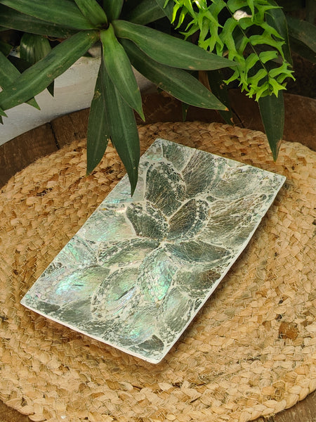 Abalone Snacks Tray