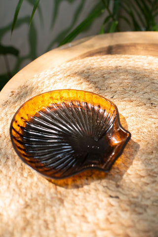 Shell Dish - Amber