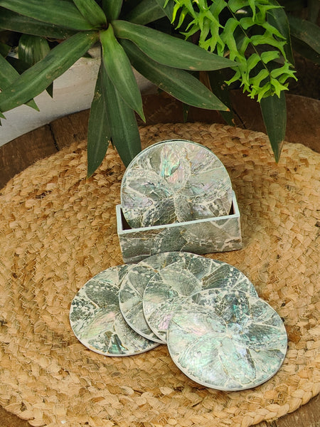 Abalone Coasters - Set of 6